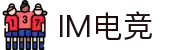 IM(股份有限公司)电竞-电子竞技平台