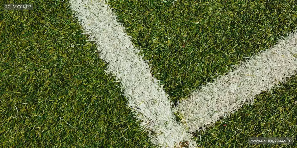 🎥专业解说,带你看透赛场背后的战术密码!🎙️