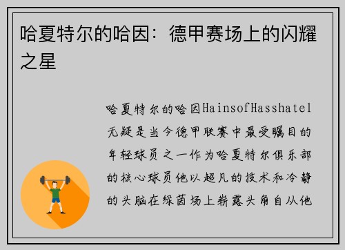 哈夏特尔的哈因：德甲赛场上的闪耀之星